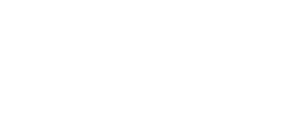 Austria Section Logo 3